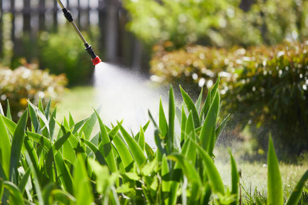 24/7 Emergency Mosquito Control experts in Hastings, NE